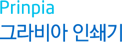 Prinpia 그라비아인쇄기